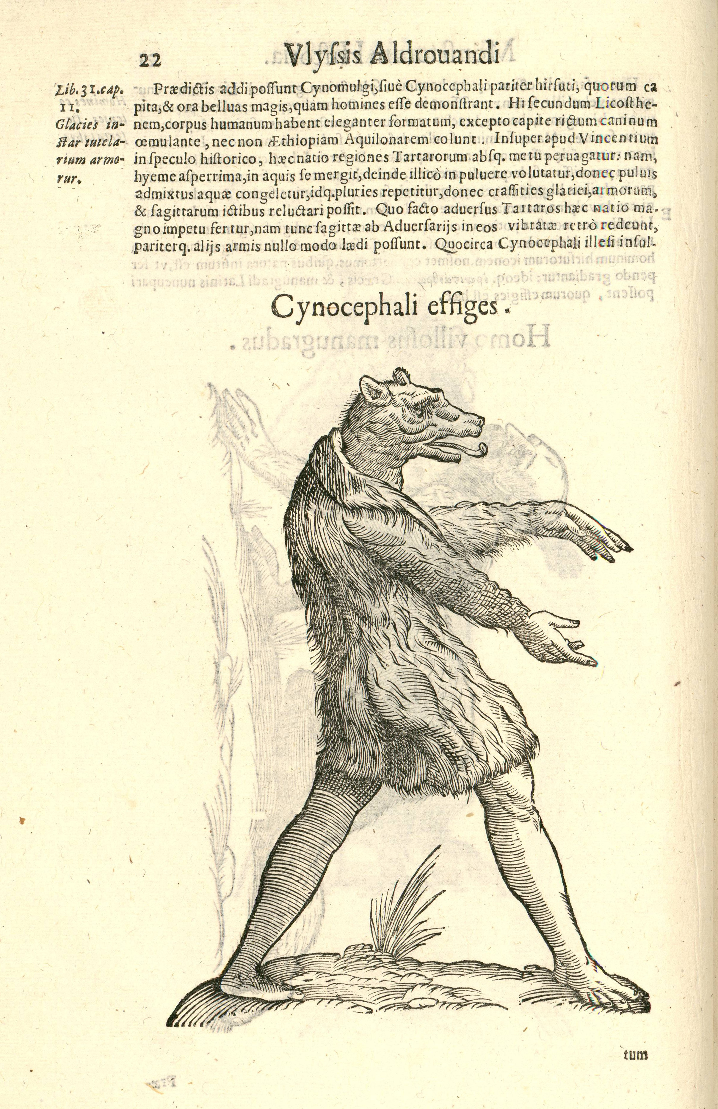 Monstrorum historia